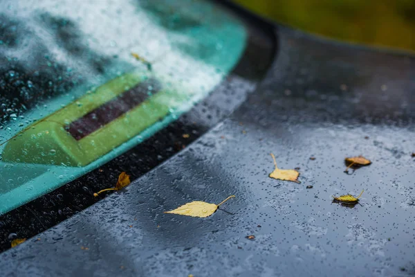 Carro azul escuro no outono dia chuvoso com folhas de vidoeiro laranja foco seletivo win blur closeup — Fotografia de Stock