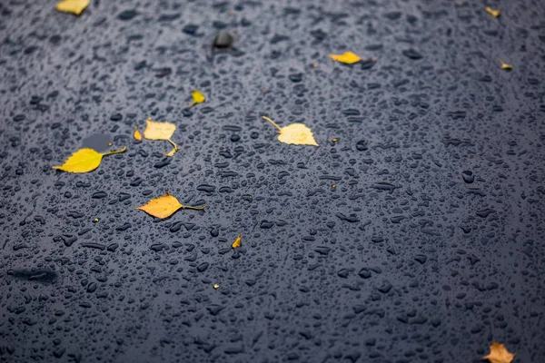 Carro azul profundo no outono dia chuvoso com folhas de bétula amarelas foco seletivo com closeup borrão — Fotografia de Stock