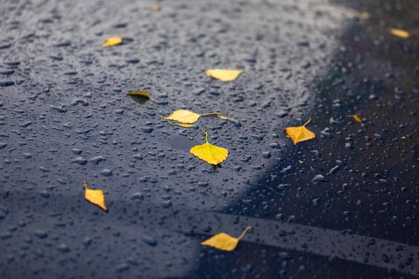 Voiture bleu foncé au jour de pluie d'automne avec feuilles de bouleau jaune - mise au point sélective avec gros plan flou — Photo