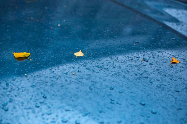Nasse aquamarinblaue Autooberfläche bei herbstlichem Regentag mit gelben Birkenblättern und Wassertropfen - selektiver Fokus mit Unschärfe — Stockfoto