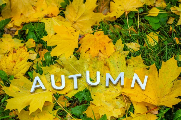 The word AUTUMN laid with aluminium thick letters on the ground with maple leaves and green grass. — Stock Photo, Image