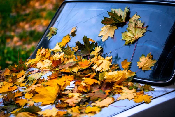 Un sacco di foglie d'acero cadute sul vecchio cofano dell'auto - chiudere lo sfondo autunnale con attenzione selettiva — Foto Stock