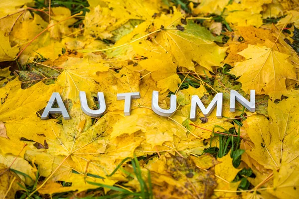 Het woord Herfst gelegd met grijze letters op de grond met esdoorn bladeren — Stockfoto