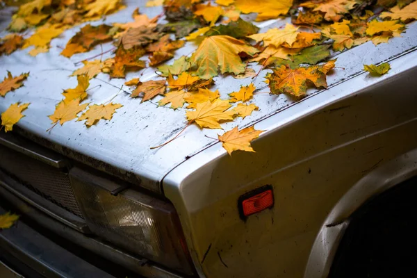 Upadłe liście klonu na starym masce bitego samochodu - zbliżenie jesienne tło z selektywnym ostrości — Zdjęcie stockowe