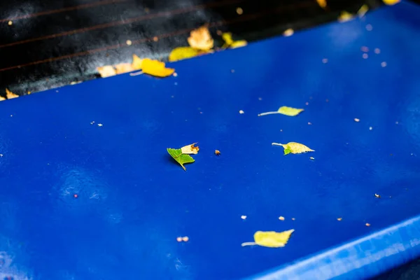 Superfície do carro molhado azul de safira na manhã de outono com folhas de bétula amarelas foco seletivo com closeup borrão — Fotografia de Stock
