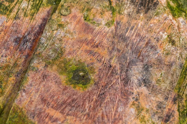 Superficie de tronco de madera mojada abstracta con manchas de musgo verde y enfoque selectivo y desenfoque —  Fotos de Stock