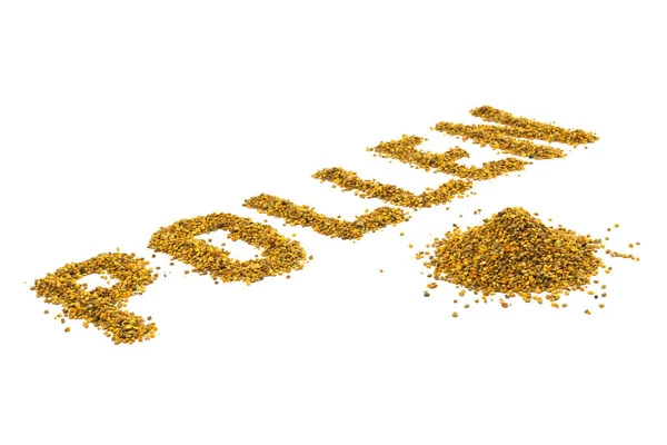 La parola polline posato con grano polline giallo su sfondo bianco con prospettiva diagonale — Foto Stock