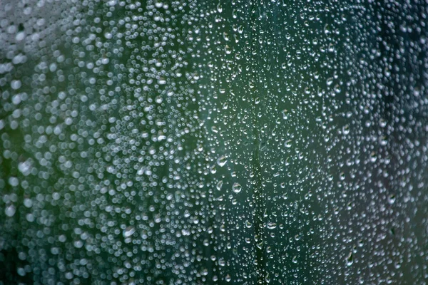 雨滴湿窗玻璃的文摘背景.夏绿模糊的背景和选择性聚焦. — 图库照片