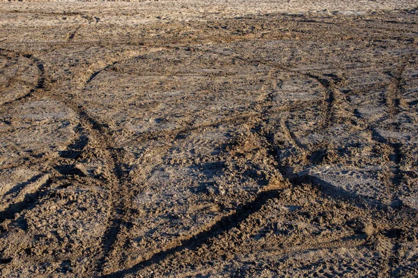 Areia seca e terra de lama com muitas pistas de bicicleta de sujeira à luz do dia — Fotografia de Stock