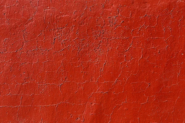 Texture of flat thick painted wall surface under direct sunlight Royalty Free Stock Photos