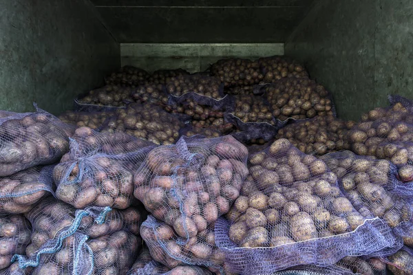 Pile of potatos in bags inside of metal dry van box truck - close-up with selective focus — Stock Photo, Image