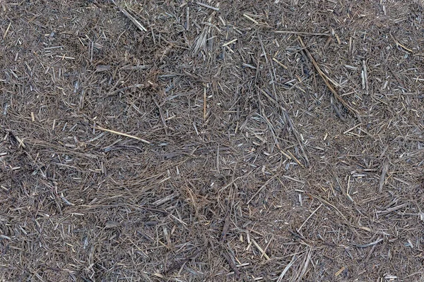 Безшовна текстура і фон сухої сірої мертвої подрібненої трави або соломи на землі — стокове фото