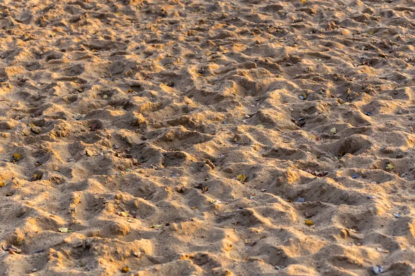 Superfície de areia seca com muitas pegadas e folhas secas de árvores de outono sob luz amarela do sol — Fotografia de Stock
