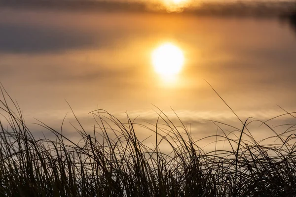 Sol nascente reflete em água calma e grama fina longa em primeiro plano quadro abstrato minimalista com foco seletivo e borrão — Fotografia de Stock