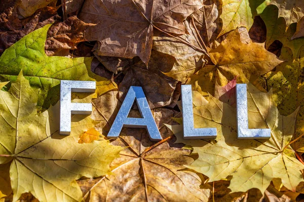 Słowo lall ułożone metalowymi literami nad żółtymi jesiennymi opadłymi liśćmi - zbliżenie z selektywną ostrością — Zdjęcie stockowe