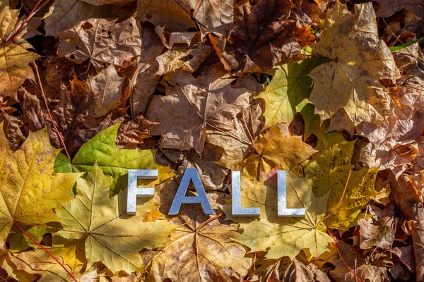Słowo upadek ułożone metalowymi literami nad żółtymi jesiennymi opadłymi liśćmi - zbliżenie z selektywną ostrością — Zdjęcie stockowe