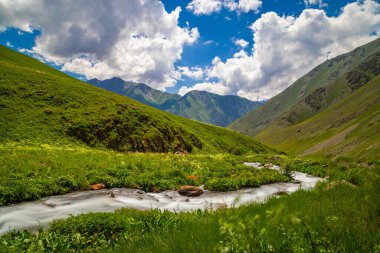 Serene river flows gracefully through lush green hills and towering mountains in Kyrgyzstan