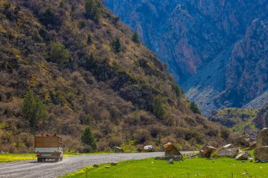 Truck transporting horses in mountainous region of Kyrgyzstan during sunny summer day