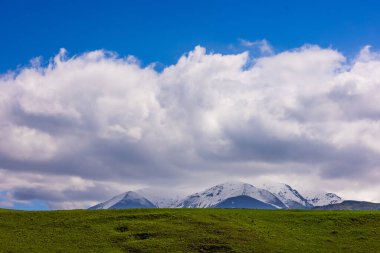 Serene snow-capped Kyrgyzstan mountains rise majestically above a vibrant green field. Fluffy clouds drift lazily in the blue sky, creating a tranquil atmosphere in this expansive natural landscape.