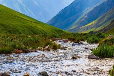 Serene stream flows gently through rocky terrain in a mountainous region. Lush plants surround the water, creating a tranquil atmosphere during daytime. in Kyrgyzstan