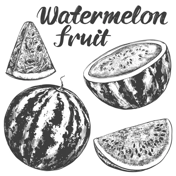 Icono De Esbozo De Frutaストックベクター ロイヤリティフリーicono De Esbozo De Frutaイラスト ページ 57 Depositphotos