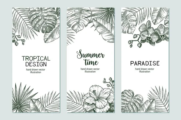 Set Frames Theme Tropics Vector Illustration Hand Drawn Style — Stock Vector