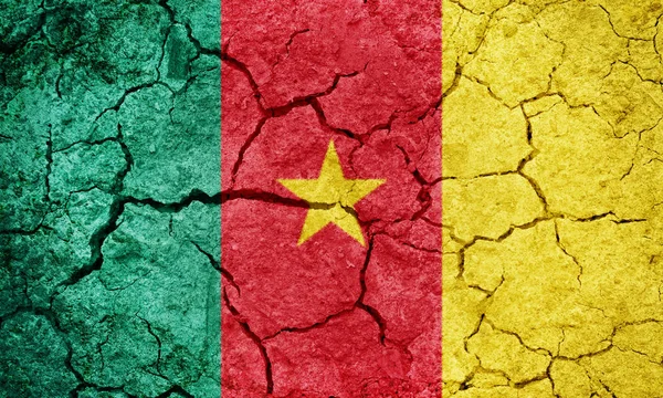 Republik Kamerun Flagge Auf Trockenem Boden Textur Hintergrund — Stockfoto