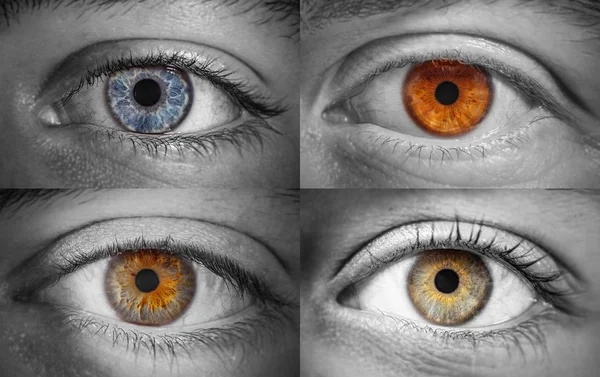 Collage Ojos Diferentes Colores Macro Disparo —  Fotos de Stock
