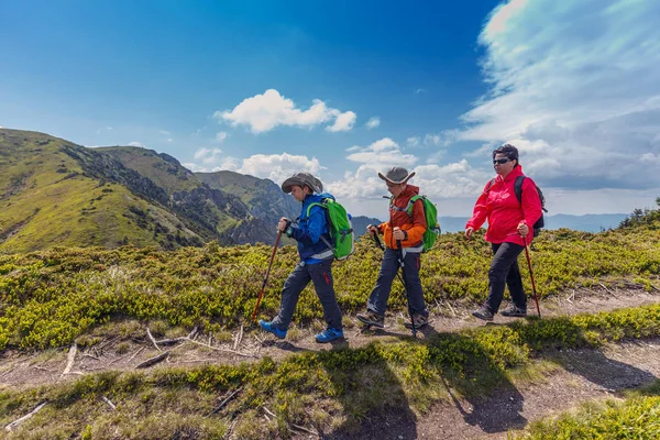 Mulher Com Seus Filhos Caminhadas Montanhas Romenas Atividade Recreação — Fotografia de Stock