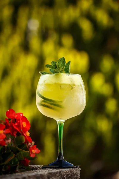 Cocktail Rinfrescante Estivo Analcolico Agli Agrumi — Foto Stock