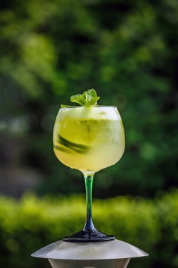 Taze yaz soğuk elderflower Limonata limon ve nane ile