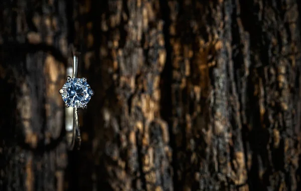 Ring Met Kristal Donkere Schors Achtergrond Kopie Ruimte — Stockfoto