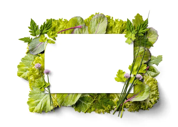 Verduras Frescas Quadro Fundo Branco Espaço Para Texto — Fotografia de Stock