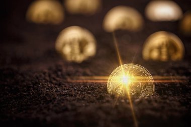Altın Bitcoins. Yeni sanal para toprağa