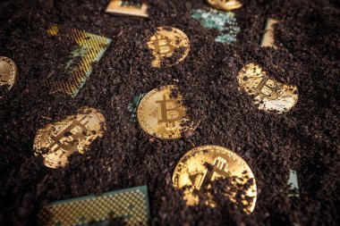 Altın Bitcoins. İşlemci ile yere yeni sanal para