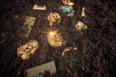 Altın Bitcoins, parlak sikke bitcoin işlemci toprak ile madencilik