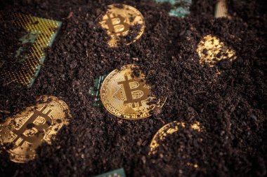 Altın Bitcoins. İşlemci ile yere yeni sanal para