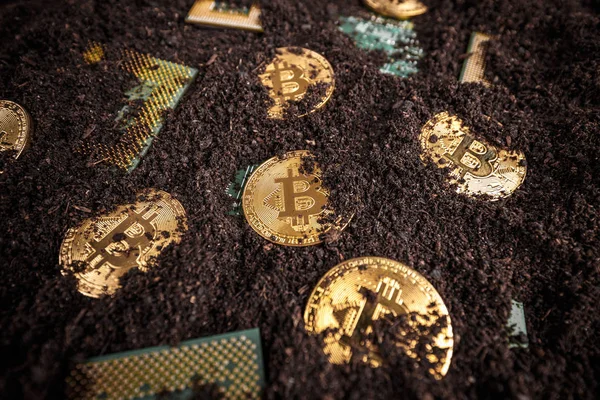 Золотий Bitcoins Нові Віртуальні Гроші Землі Процесором — стокове фото