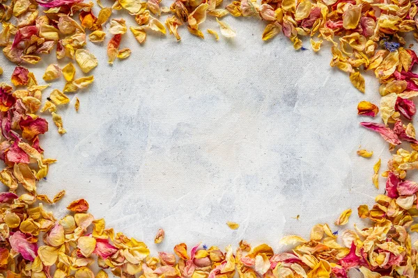 Frame Dried Wild Rose Petals White Painted Surface — Stock Photo, Image