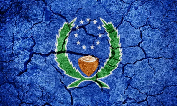 Estado Pohnpei Estado Micronesia Bandera Sobre Fondo Textura Tierra Seca — Foto de Stock