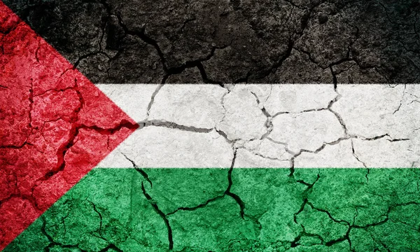 Stato Della Palestina Bandiera Terra Asciutta Terra Texture Sfondo — Foto Stock