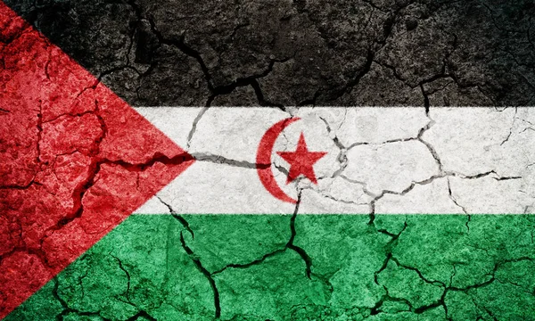 Sahrawi Repubblica Democratica Araba Bandiera Sulla Terra Asciutta Texture Sfondo — Foto Stock