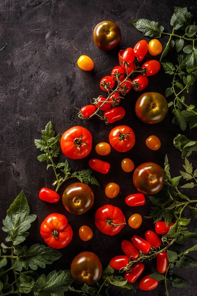 Fresh Ripe Tomatoes Black Background Royalty Free Stock Photos