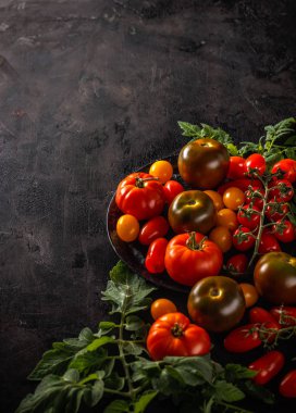 Drungy siyah arka plan, kopya alanı üzerinde taze organik domates