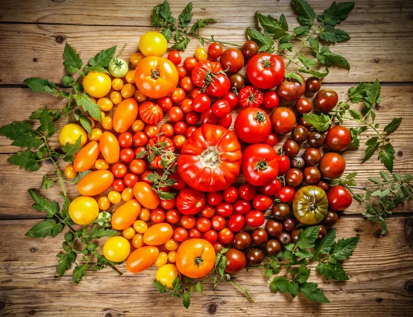 Flache Lage Frischer Bunter Reifer Tomaten Auf Rustikalem Holzgrund — Stockfoto