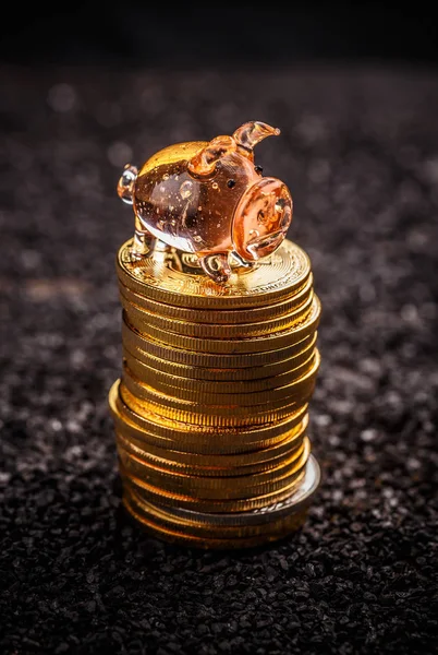 Bitcoin Sparande Och Investeringar Koncept Med Piggy — Stockfoto