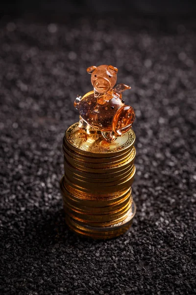 Bitcoin Sparande Och Investeringar Koncept Med Piggy — Stockfoto