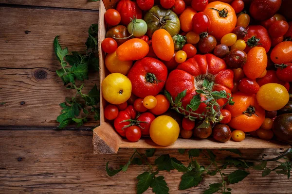 Flat Lay Colorful Tomatoes Red Yellow Orange Green Crate Vintage Stock Image