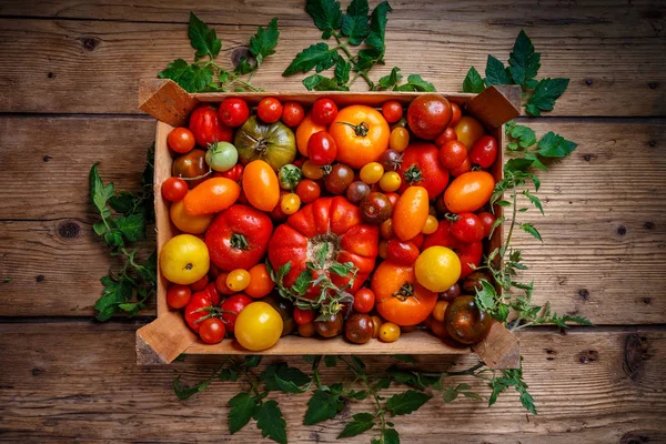 Puesta Plana Tomates Frescos Caja Sobre Una Mesa Madera Rústica —  Fotos de Stock