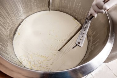 Peynir üretim, Fermantasyon işlemi sırasında paslanmaz tank süt karıştırma adam